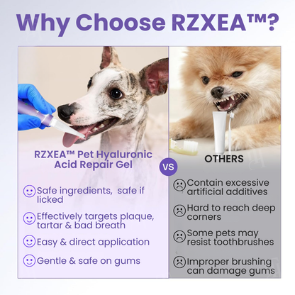 RZXEA™ Hyaluronsäure-Reparaturgel für Haustiere