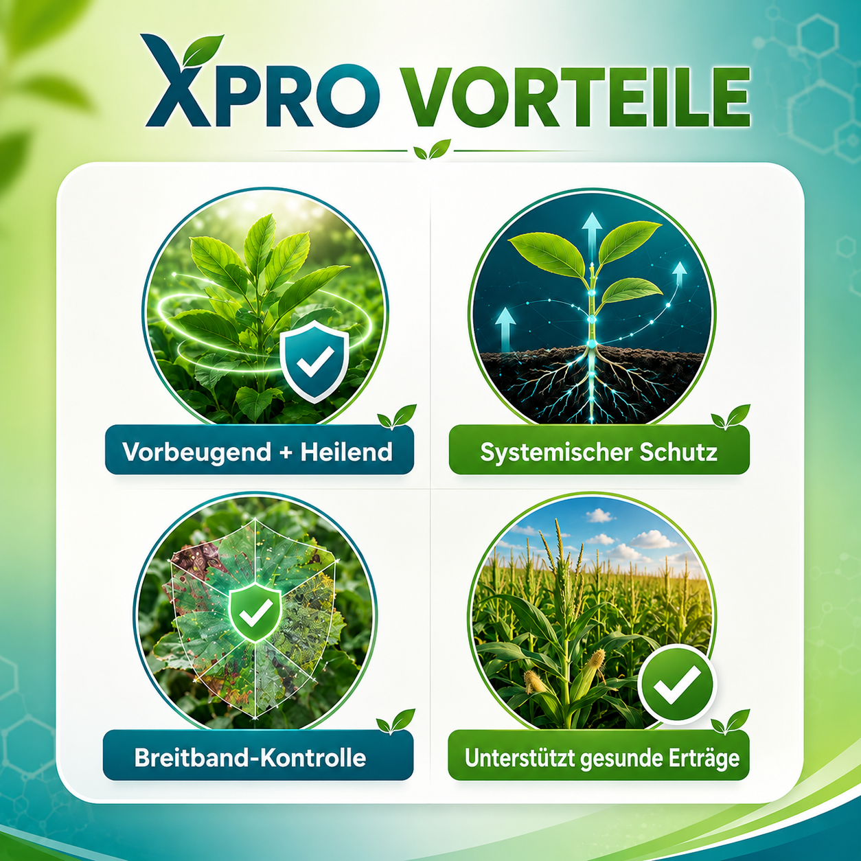 🏆 Neues Upgrade | RZXEA™ Xpro Prothioconazol Systemisches Fungizid