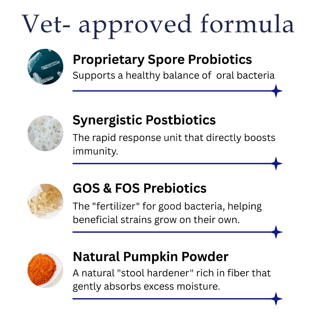 🌟 Official Store | RZXEA™ Pet Pro-Gut Series