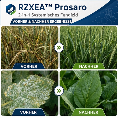 🏆 Neues Upgrade | RZXEA™ Prosaro 2-in-1 Systemisches Fungizid