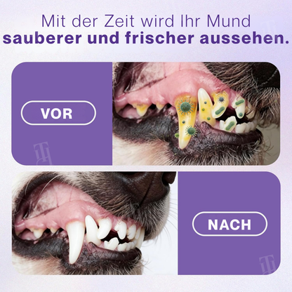 🌟 Offizieller Shop | RZXEA™ Pet Zink-Glukonat Oralspray