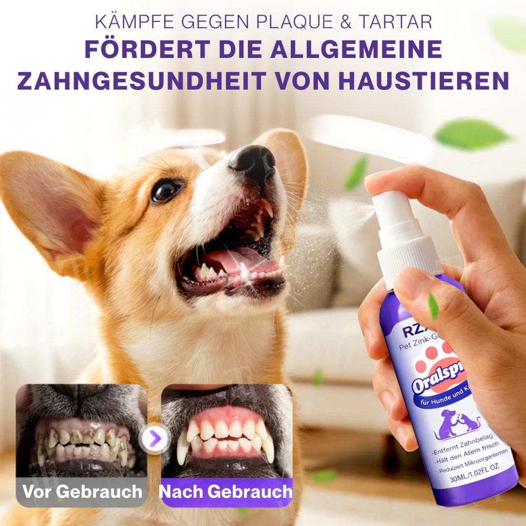 🌟 Offizieller Shop | RZXEA™ Pet Zink-Glukonat Oralspray