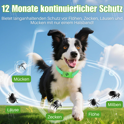 🌟 Offizieller Shop | RZXEA™ Pet 12 Monate Präventionshalsband