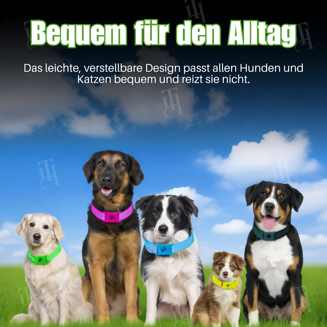 🌟 Offizieller Shop | RZXEA™ Pet 12 Monate Präventionshalsband