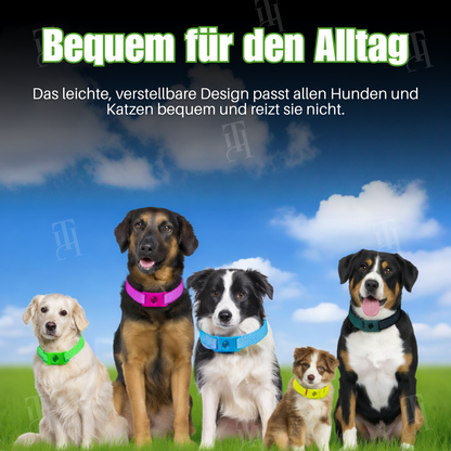 🌟 Offizieller Shop | RZXEA™ Pet 12 Monate Präventionshalsband