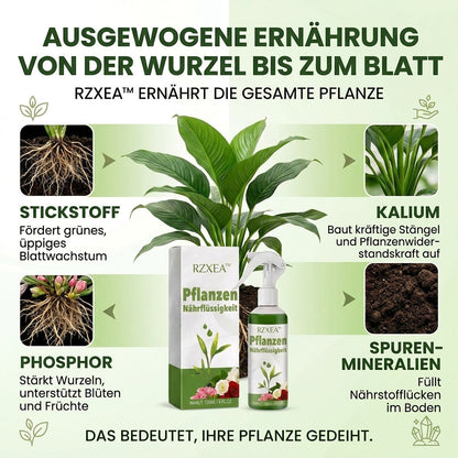 🏆 Neues Upgrade | RZXEA™ Gebrauchsfertige Pflanzennährlösung