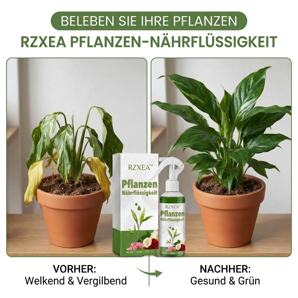 🏆 Neues Upgrade | RZXEA™ Gebrauchsfertige Pflanzennährlösung