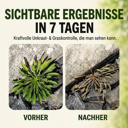 🌟 Offizieller Shop| RZXEA™ Schnell wirkendes natürliches Unkraut- und Grasvernichtungsspray